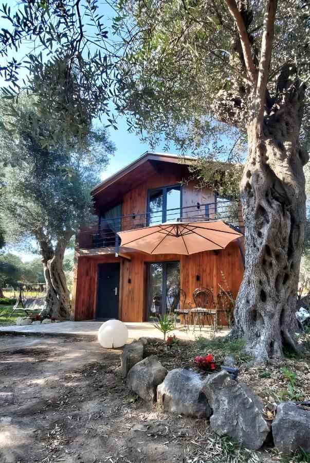 Coratina Cottage Ülgün Dış mekan fotoğraf