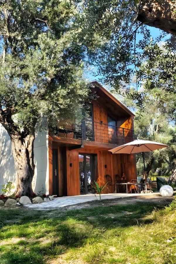 Coratina Cottage Ülgün Dış mekan fotoğraf